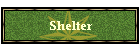 Shelter